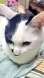 まめちゃんのプロフィール画像