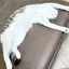 華那のプロフィール画像
