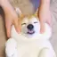 麻未のプロフィール画像