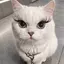 Eのプロフィール画像