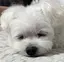 ゆんのプロフィール画像
