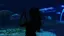 みうのプロフィール画像