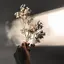 fumiのプロフィール画像