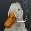 あひるのプロフィール画像