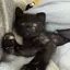 あいりのプロフィール画像