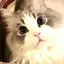 あいのプロフィール画像
