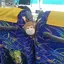 🧸⚽️のプロフィール画像