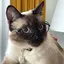 ㅇのプロフィール画像