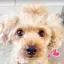 ややちゃんのプロフィール画像