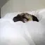 はーちゃんのプロフィール画像