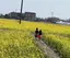 Y&Wままのプロフィール画像