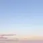 ayuのプロフィール画像