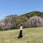 namiのプロフィール画像