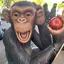 TAKEのプロフィール画像
