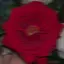 Mのプロフィール画像