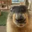 みかのプロフィール画像