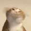 ひなたのプロフィール画像