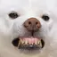なつのプロフィール画像