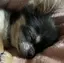あっぷるのプロフィール画像