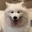 Nのプロフィール画像