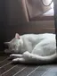 まさひろのプロフィール画像
