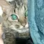 みゆきのプロフィール画像