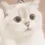 ゆなのプロフィール画像