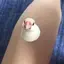 マエのプロフィール画像