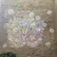 sakiのプロフィール画像