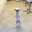 こゆきのプロフィール画像