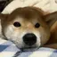 なみちゃんのプロフィール画像