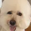 エリンギのプロフィール画像