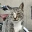 ぬんのプロフィール画像