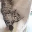 あずのプロフィール画像