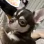 汐里のプロフィール画像