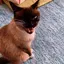 研司のプロフィール画像