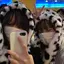 るなのプロフィール画像