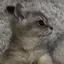 まち子のプロフィール画像