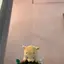 まのプロフィール画像