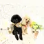 momoのプロフィール画像