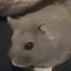 まみおのプロフィール画像