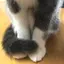 HKのプロフィール画像