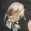 れのプロフィール画像