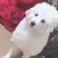うちゃんのプロフィール画像
