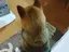 典子のプロフィール画像