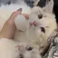 サラのプロフィール画像