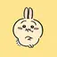 こざるのプロフィール画像