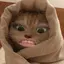 さっのプロフィール画像