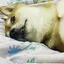 未来のプロフィール画像