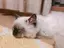 奈々のプロフィール画像